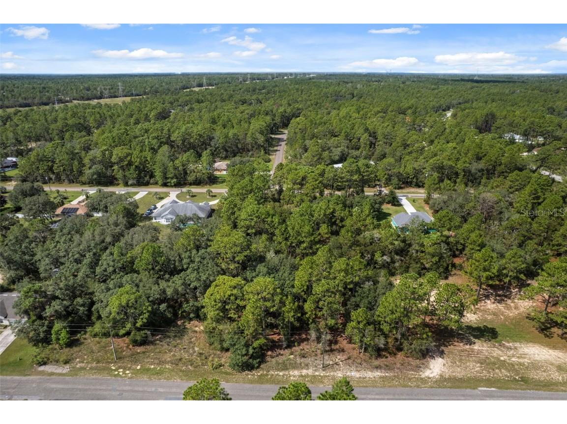 7220 N Maltese Drive Citrus Springs FL 34433 A4665455 image5