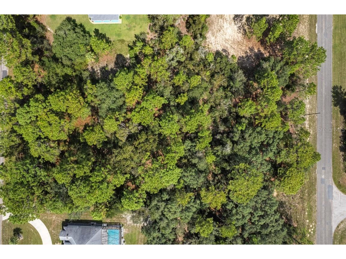 7220 N Maltese Drive Citrus Springs FL 34433 A4665455 image6