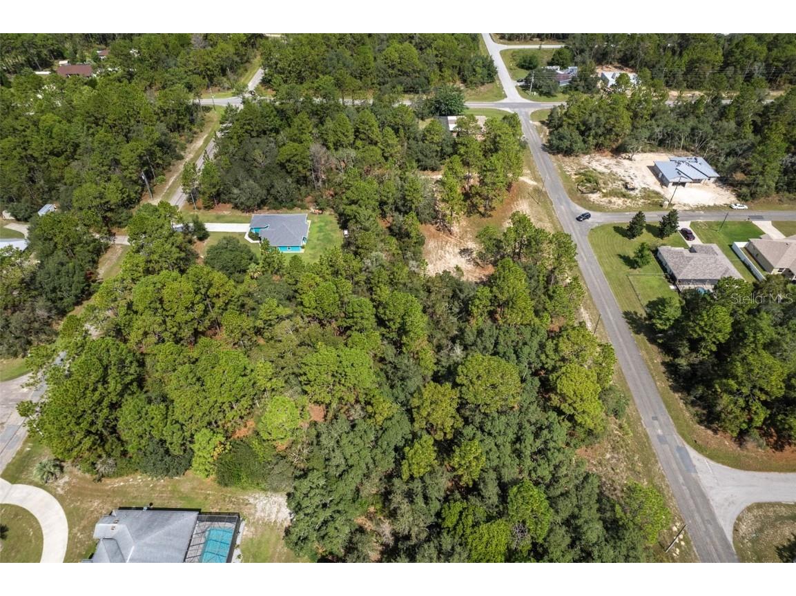 7220 N Maltese Drive Citrus Springs FL 34433 A4665455 image7