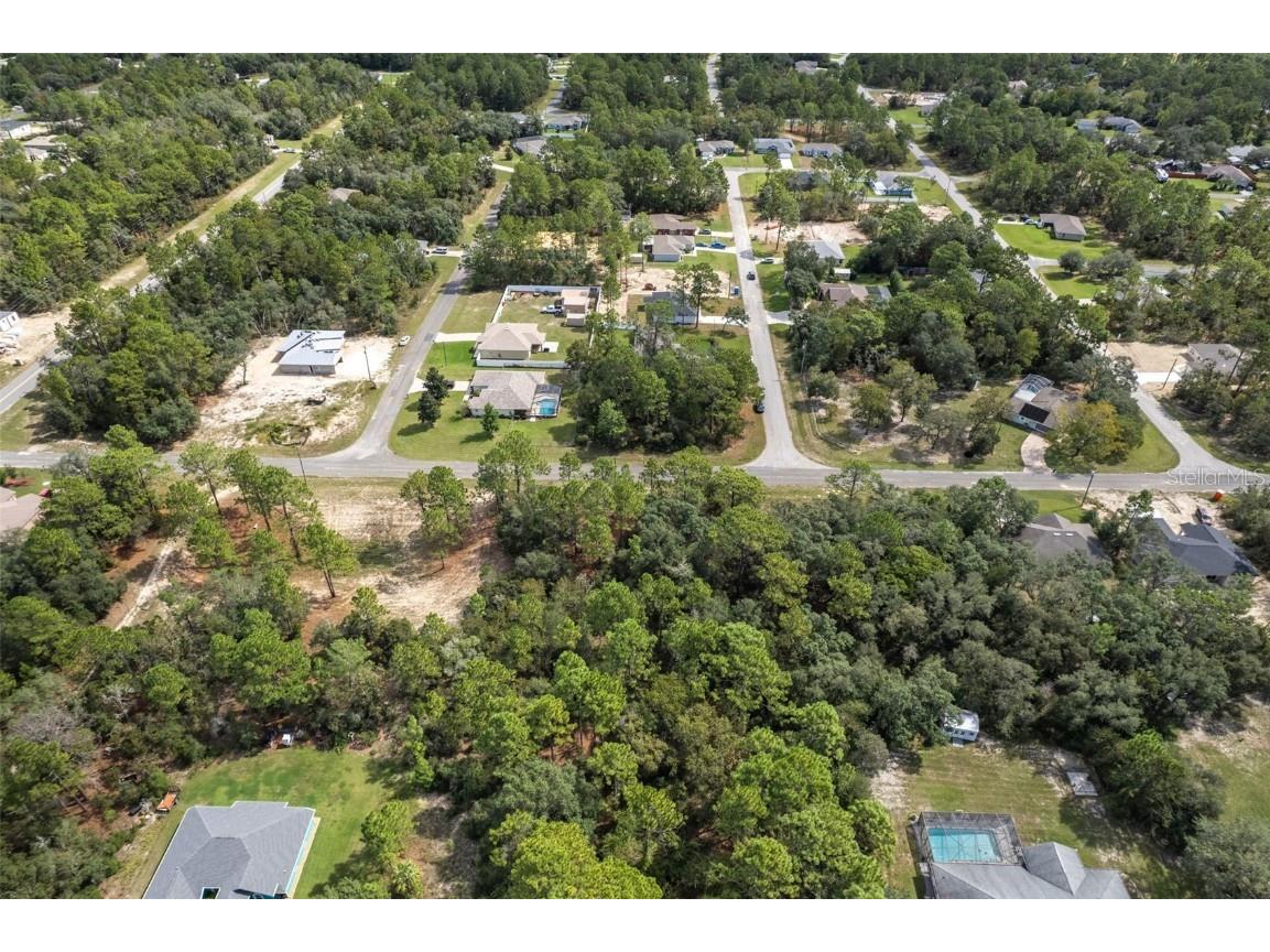 7220 N Maltese Drive Citrus Springs FL 34433 A4665455 image8