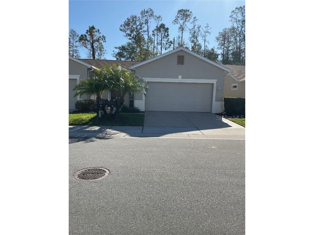 7221 Cleopatra Drive Land O Lakes FL 34637 W7870945 image1