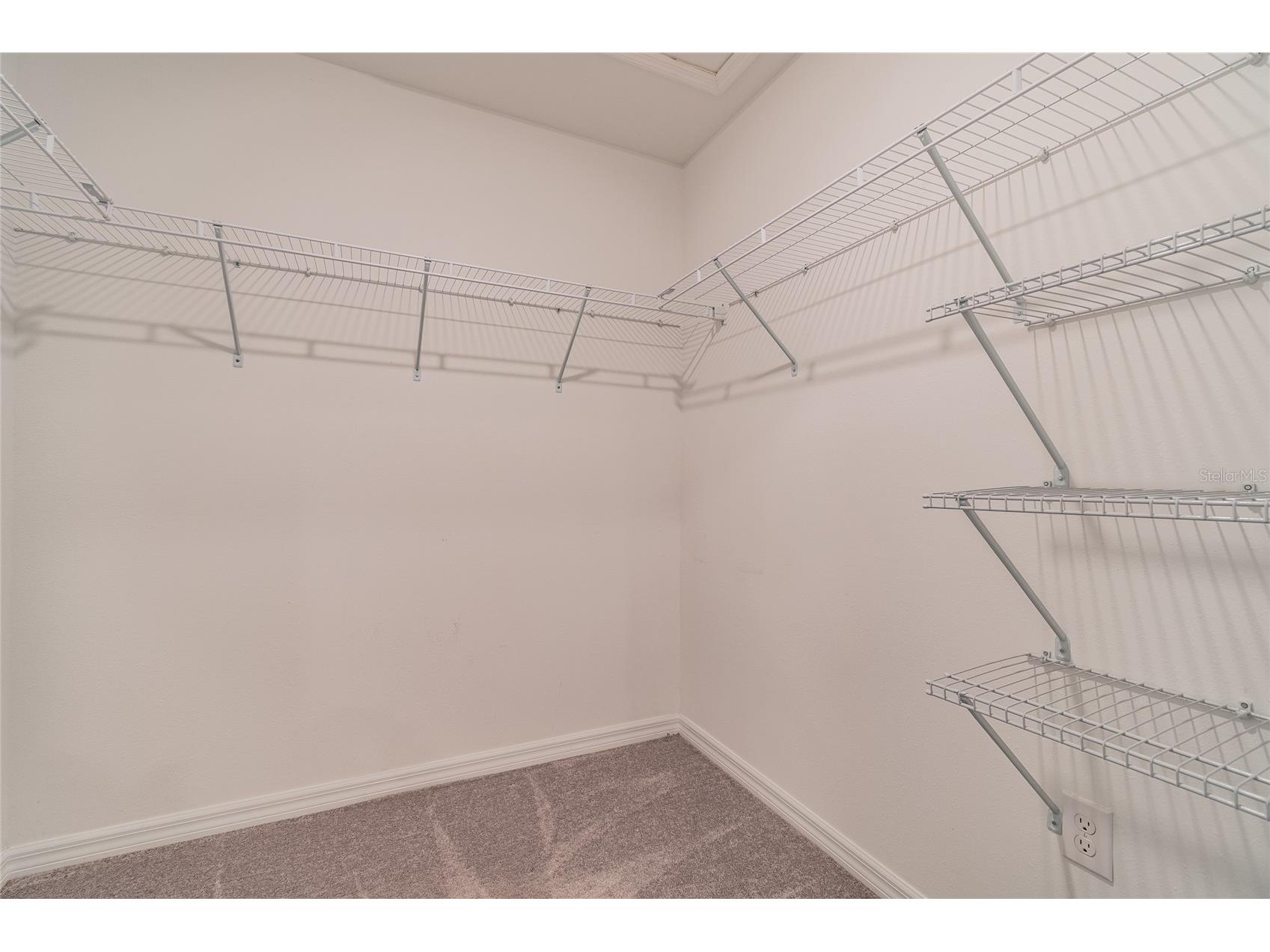7221 Sweet Alyssum Court Tampa FL 33619 TB8501660 image10
