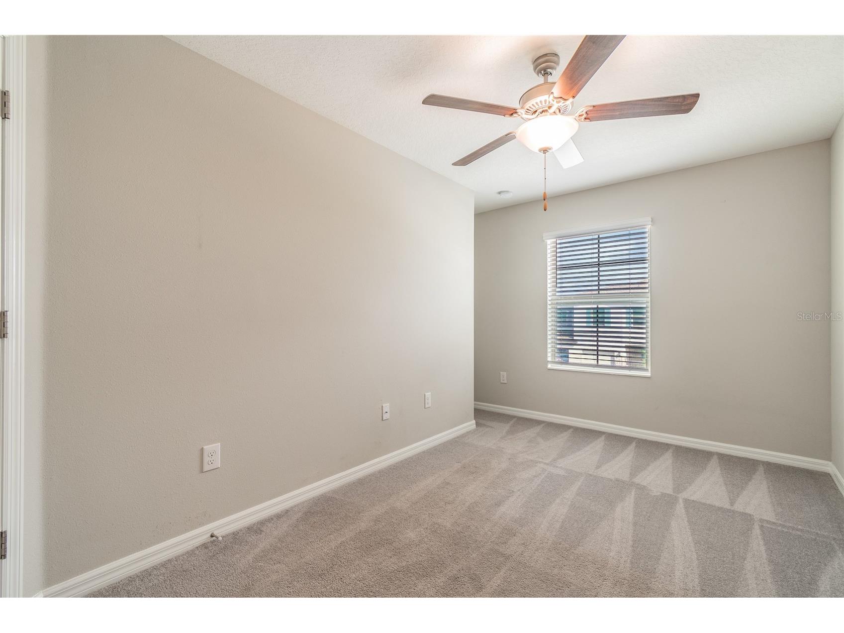7221 Sweet Alyssum Court Tampa FL 33619 TB8501660 image14