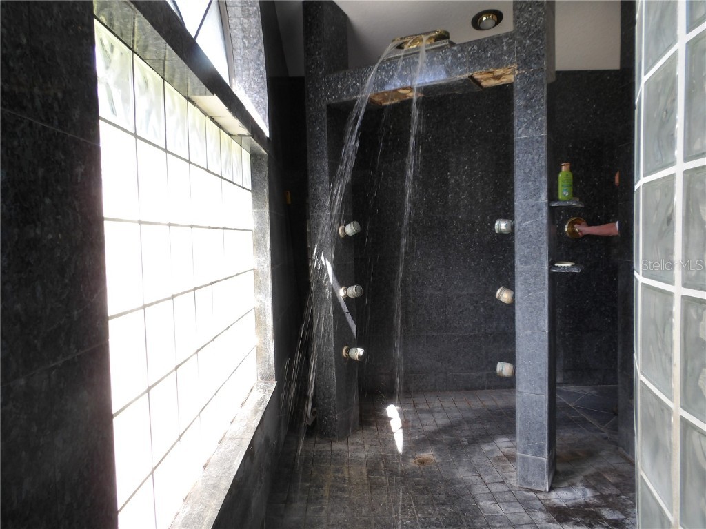 7222 Auburn Lane New Port Richey FL 34654 TB8418382 image28