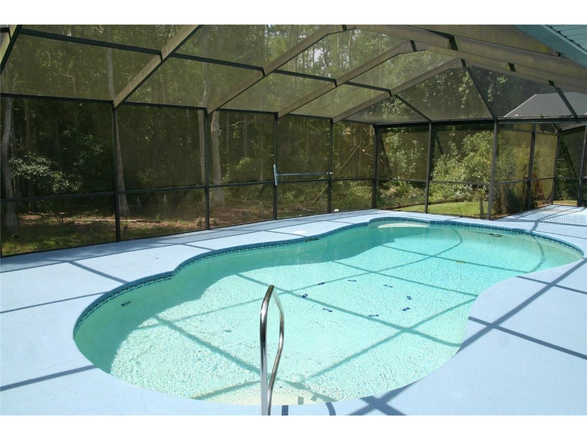 7222 Auburn Lane New Port Richey FL 34654 TB8418382 image35