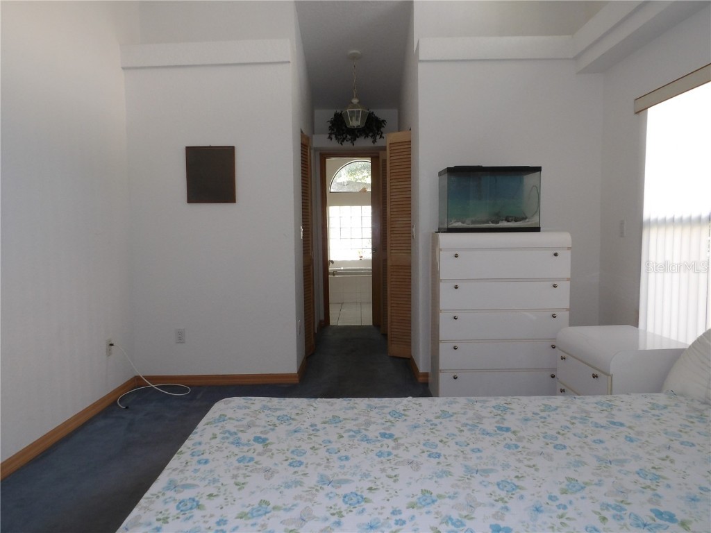 7222 Auburn Lane New Port Richey FL 34654 TB8418382 image43