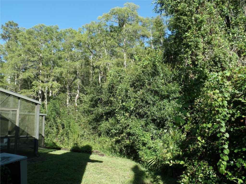 7222 Auburn Lane New Port Richey FL 34654 TB8418382 image46