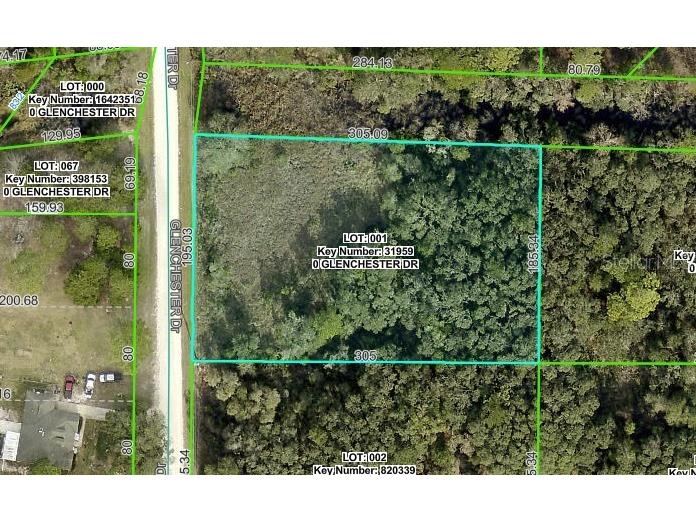 7222 Glenchester Drive Webster FL 33597 OM714206 image1