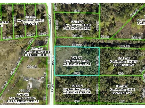 7222 Glenchester Drive Webster FL 33597 OM714206 image2