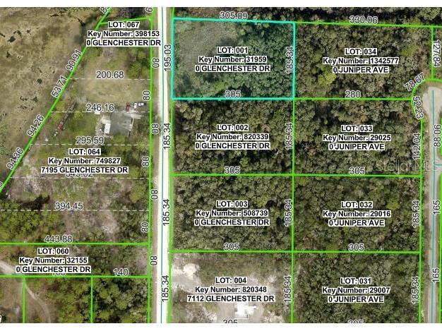 7222 Glenchester Drive Webster FL 33597 OM714206 image3