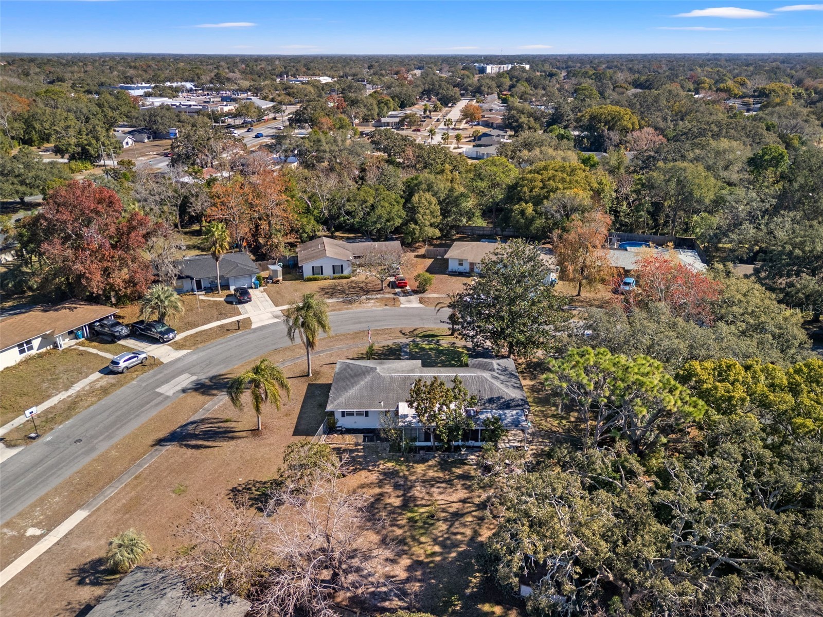 7222 Holiday Drive Spring Hill FL 34606 TB8467895 image46