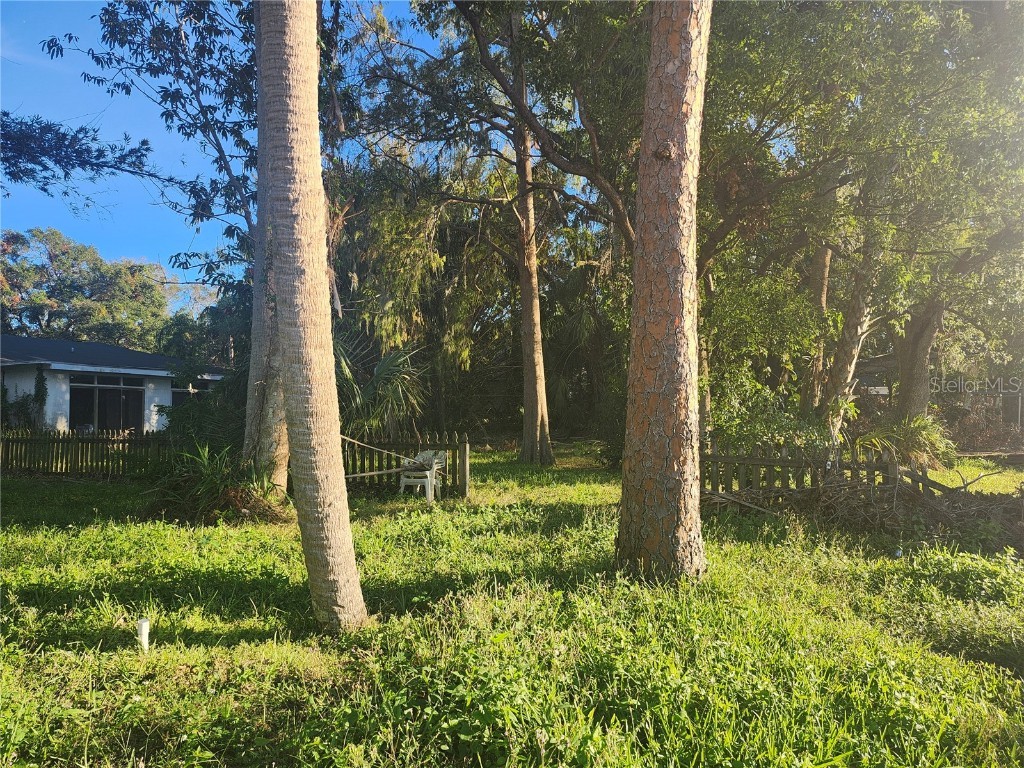 7222 N Ola Avenue Tampa FL 33604 W7870732 image59