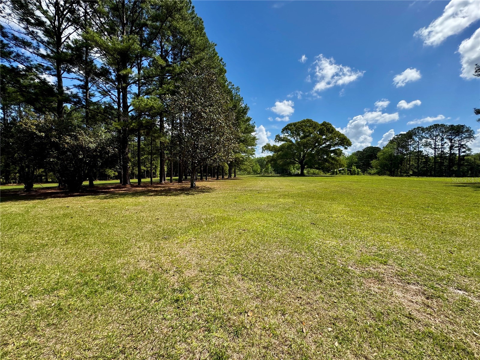 7222 NW 205th Terrace Alachua FL 32615 GC539203 image31