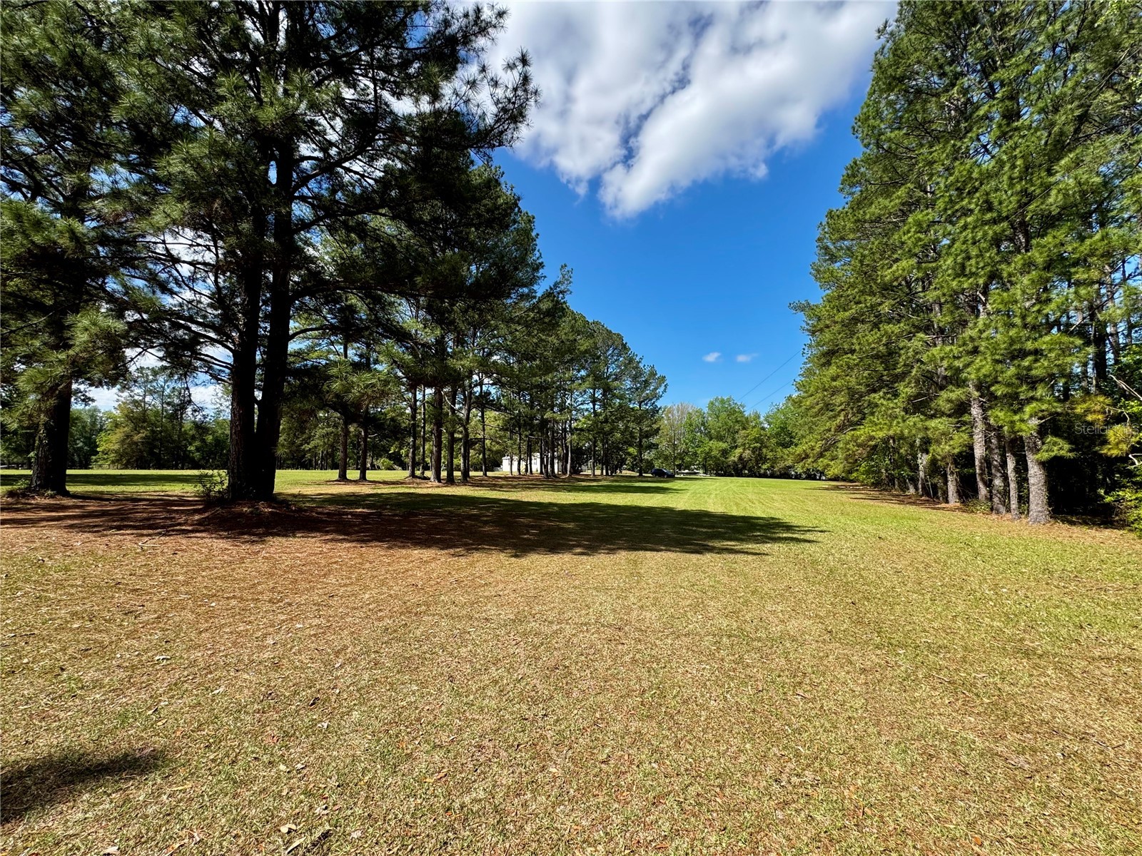 7222 NW 205th Terrace Alachua FL 32615 GC539203 image33