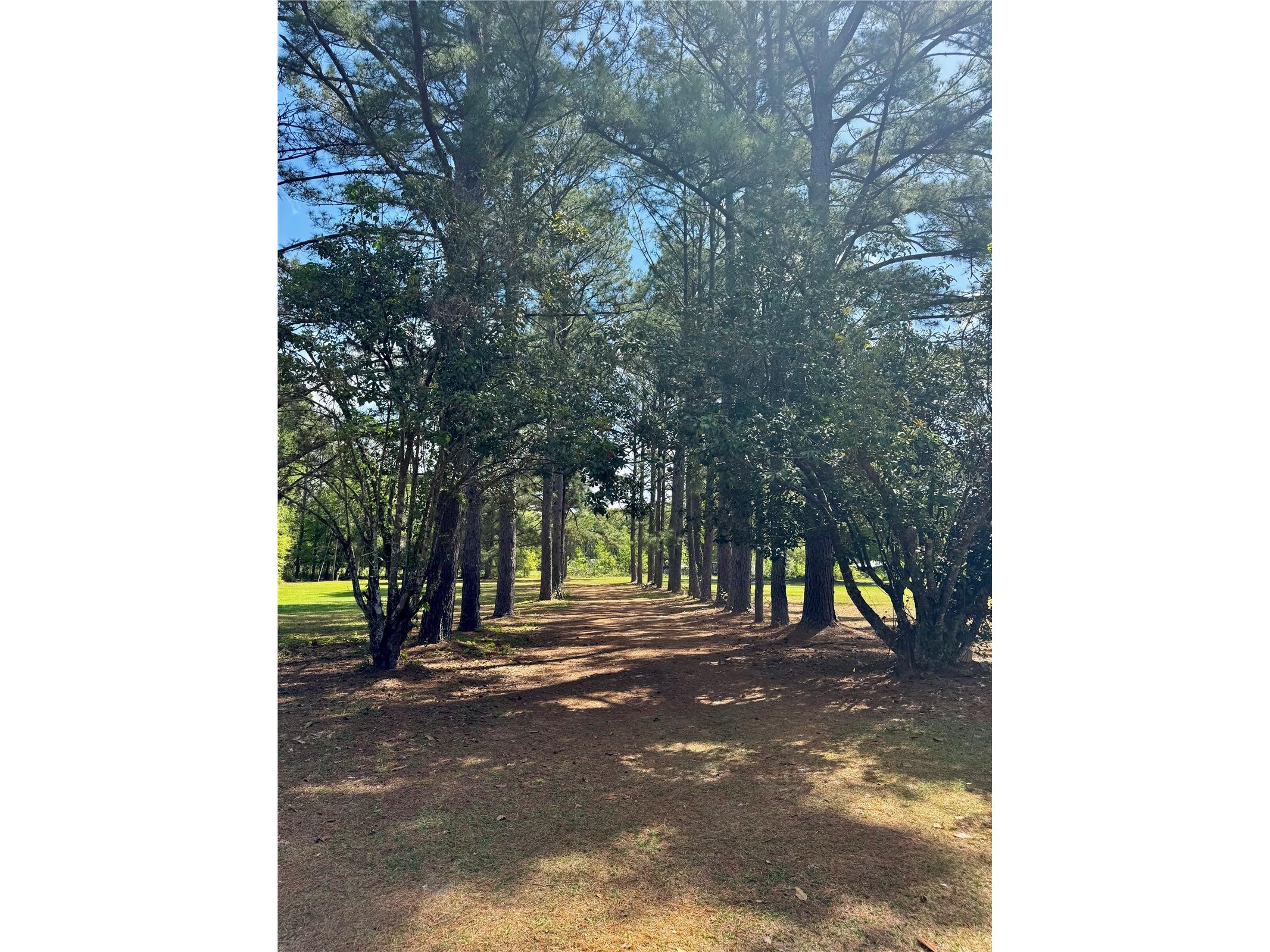 7222 NW 205th Terrace Alachua FL 32615 GC539203 image34