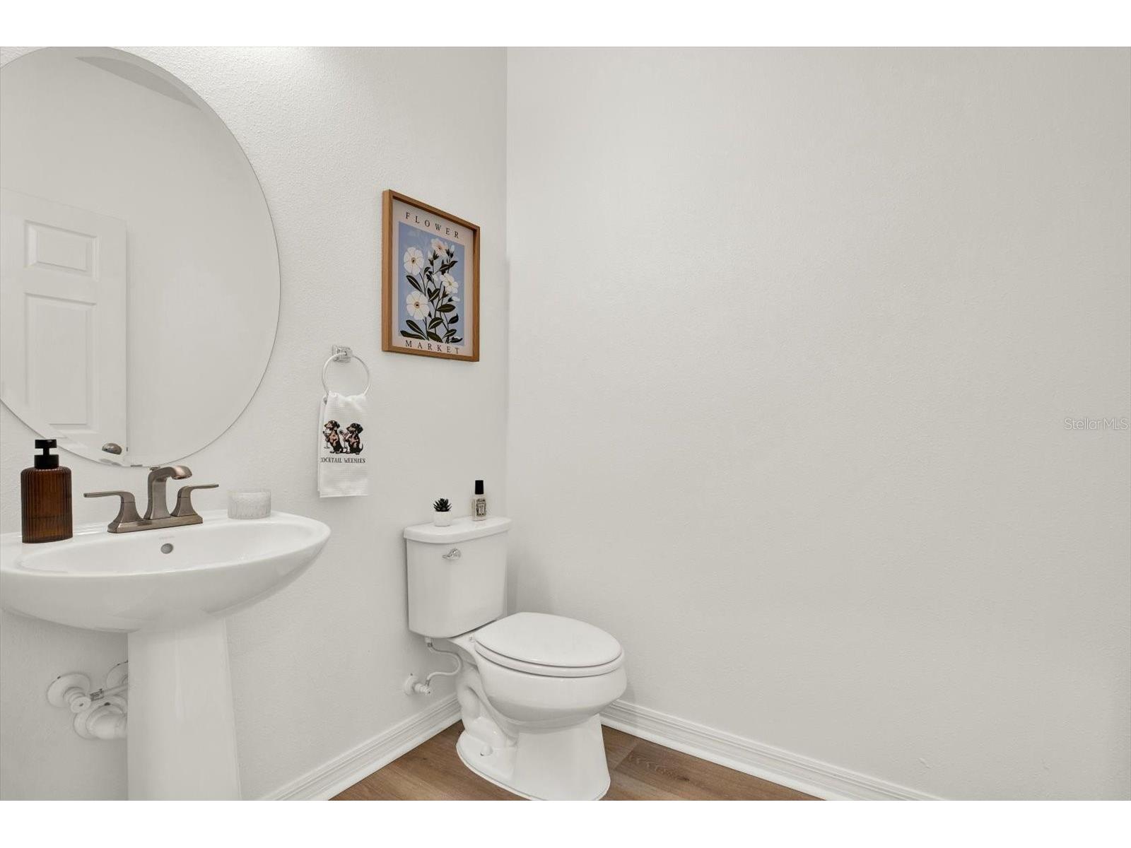 7223 Blue Beech Drive Riverview FL 33578 TB8512219 image24