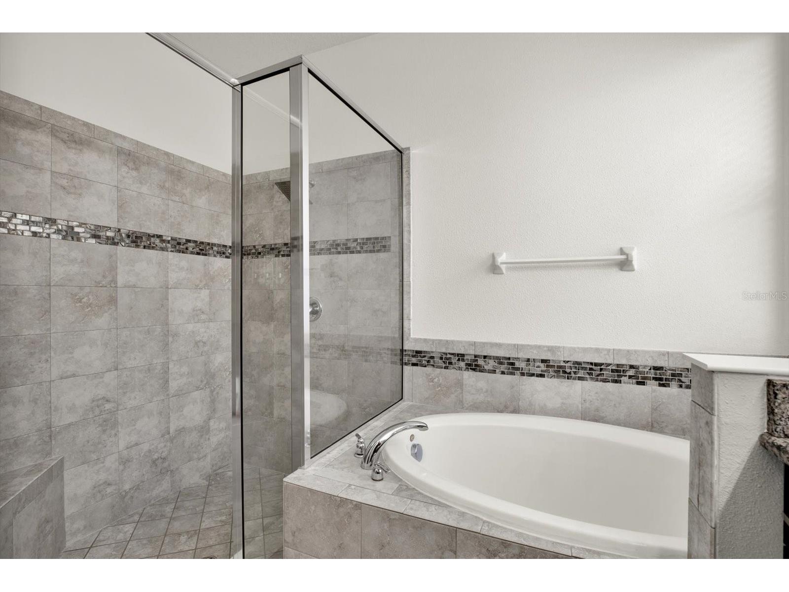 7223 Blue Beech Drive Riverview FL 33578 TB8512219 image33