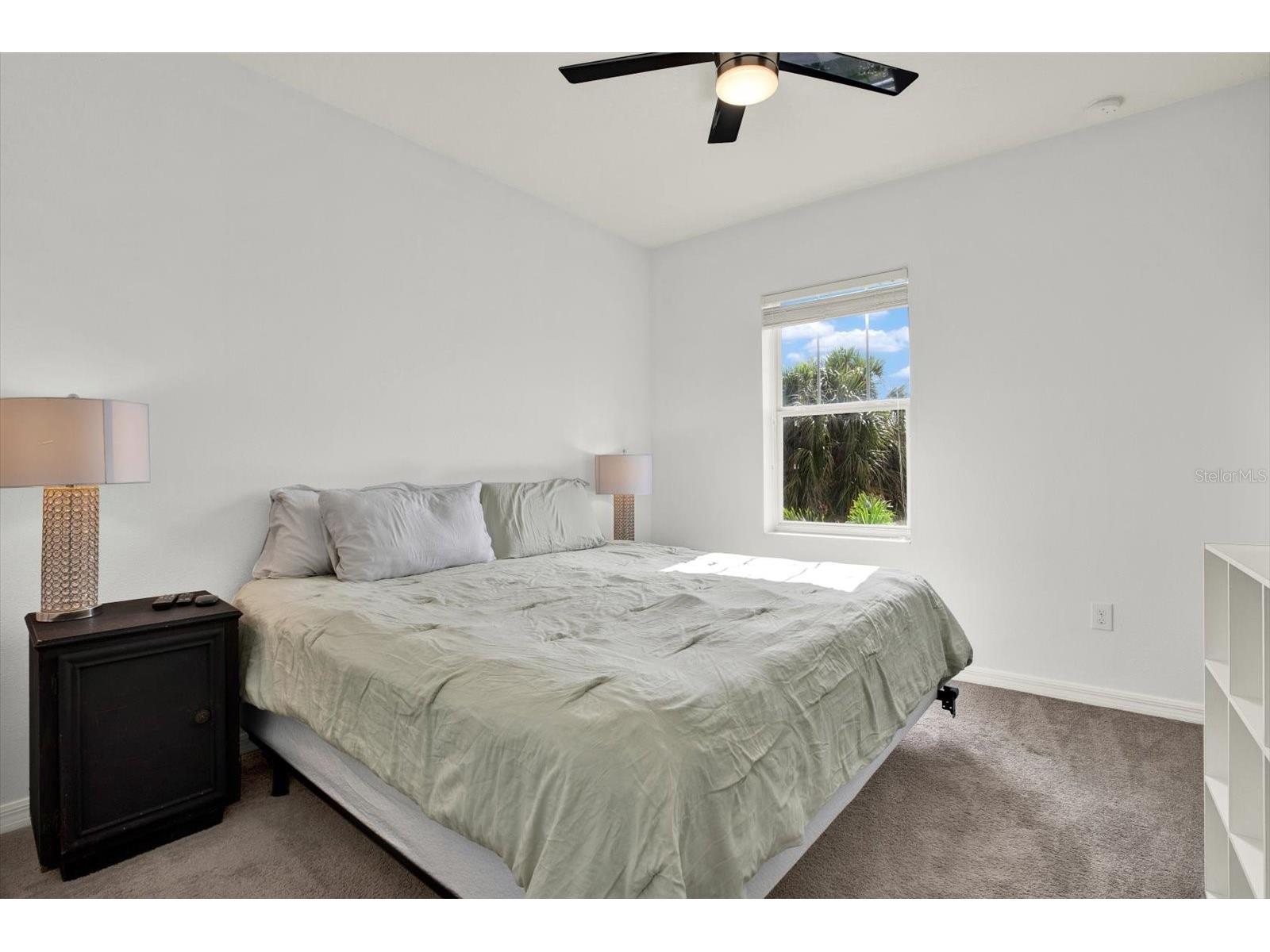 7223 Blue Beech Drive Riverview FL 33578 TB8512219 image34