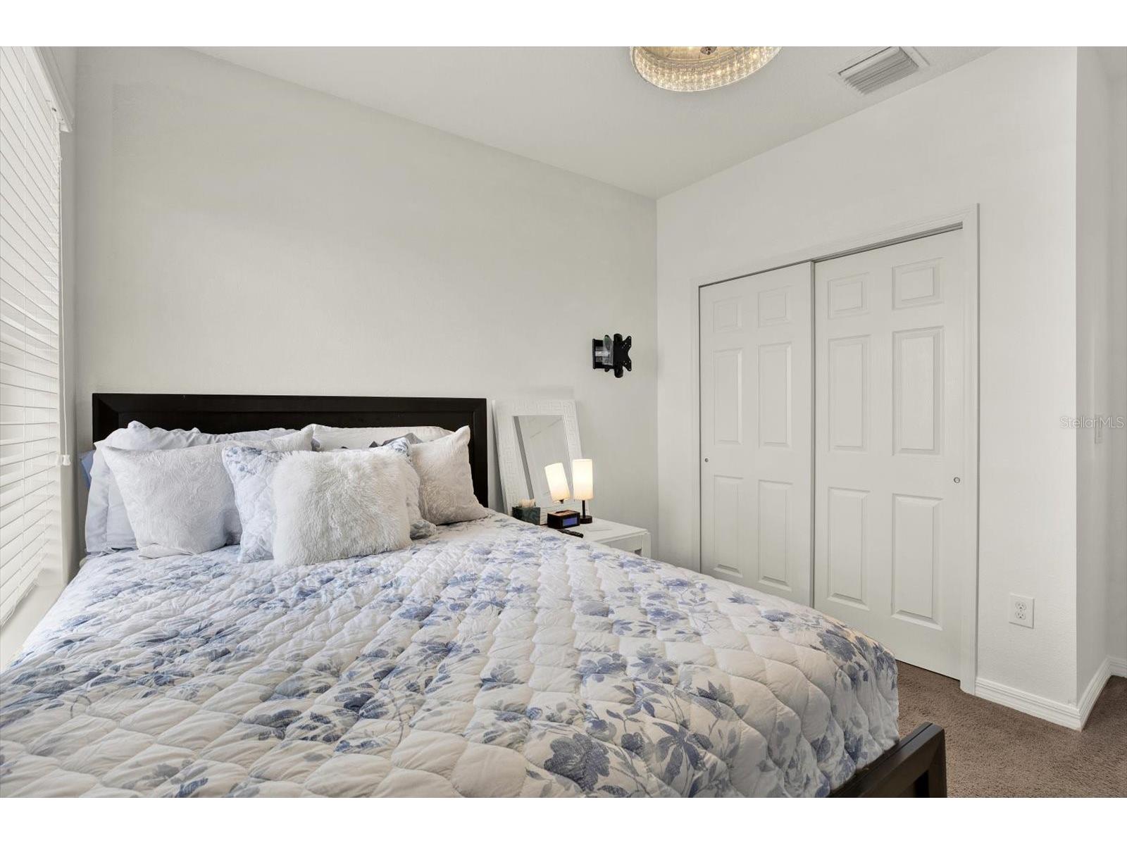 7223 Blue Beech Drive Riverview FL 33578 TB8512219 image40