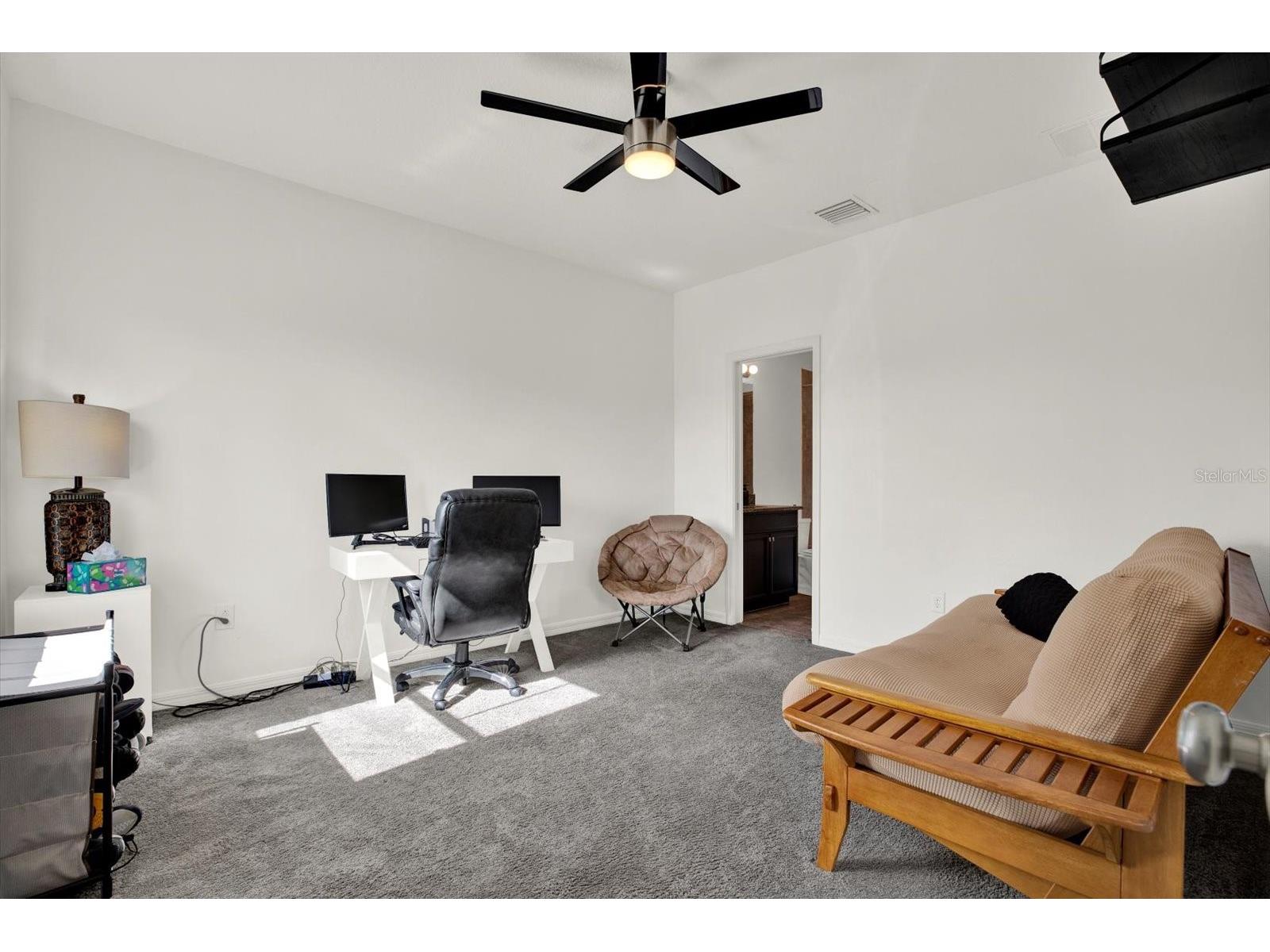 7223 Blue Beech Drive Riverview FL 33578 TB8512219 image44