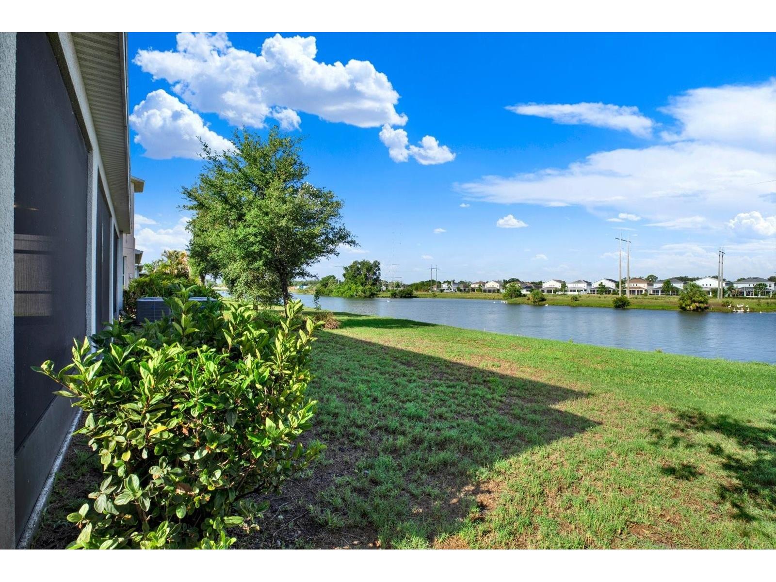 7223 Blue Beech Drive Riverview FL 33578 TB8512219 image7