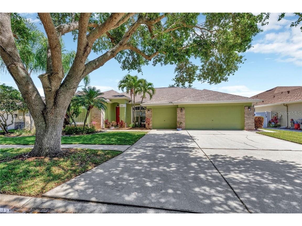 7223 Colonial Lake Drive Riverview FL 33578 T3519809 image1