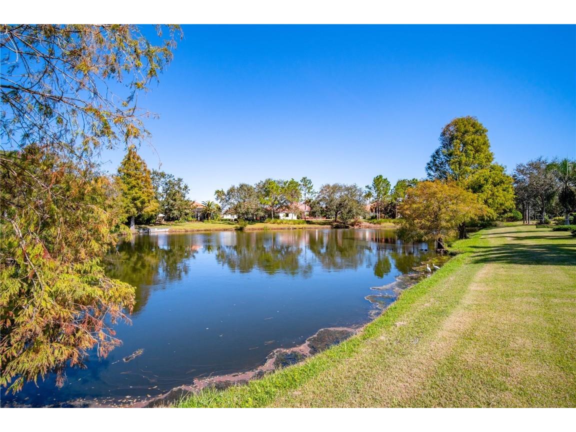 7223 Orchid Island Place Bradenton FL 34202 A4632113 image47