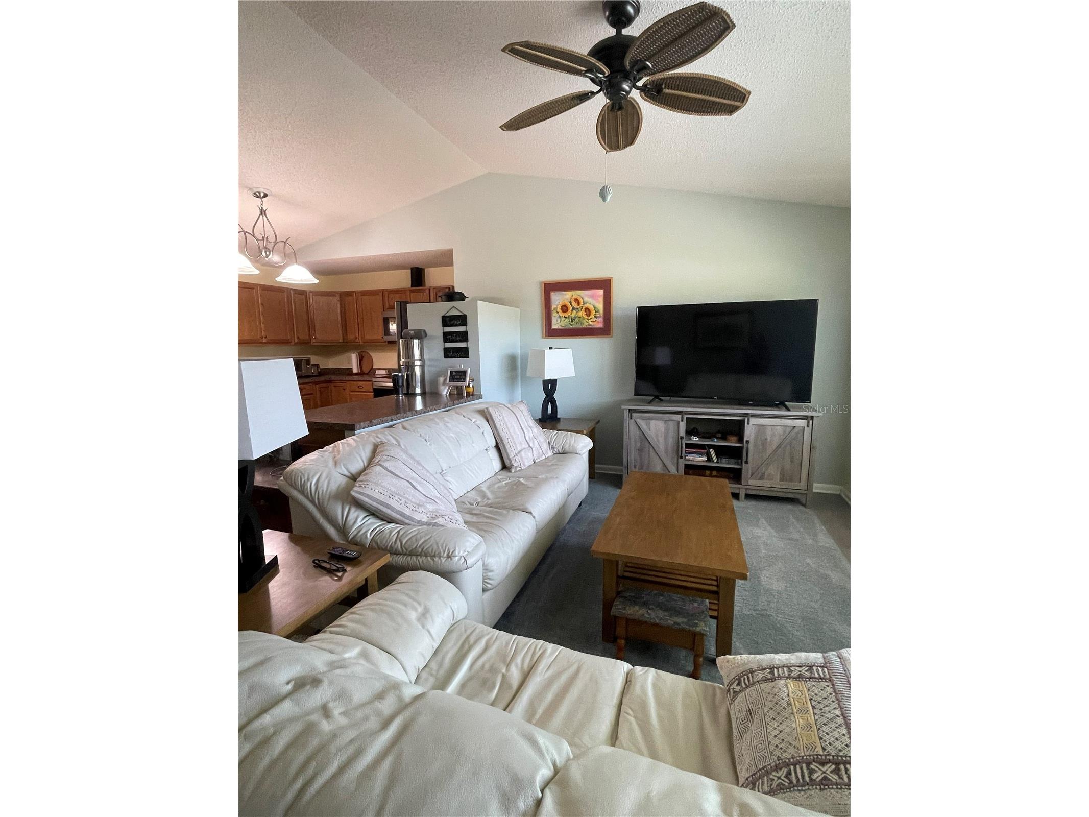 7223 S Sesame Street Terrace Homosassa FL 34446 TB8516722 image8