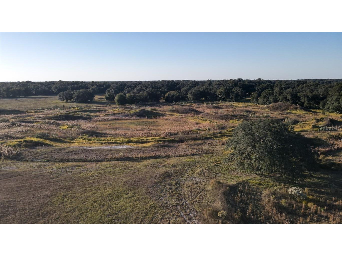 7223 SW 55th Street Bushnell FL 33513 TB8452326 image50