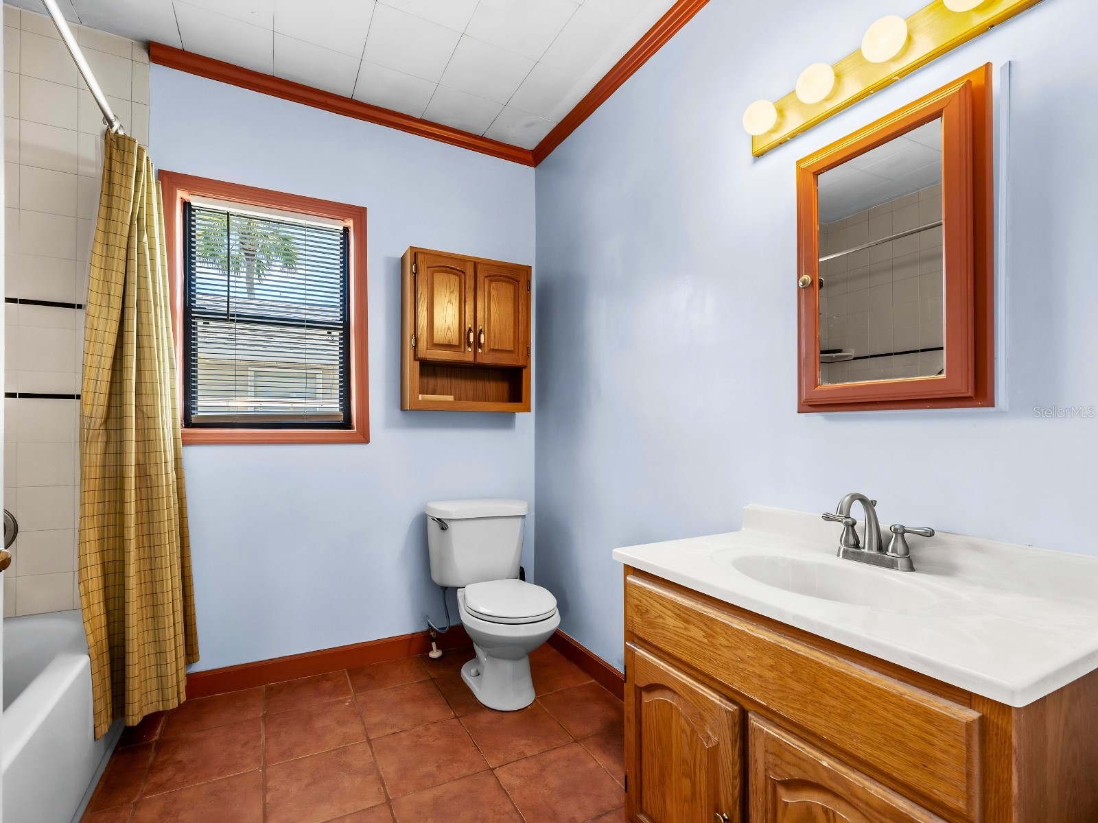7224 Alafia Ridge Loop Riverview FL 33569 - ALAFIA RIVER TB8522925 image13