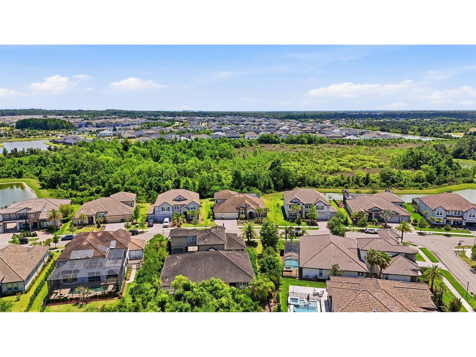 7224 Graybrook Drive Wesley Chapel FL 33545 TB8505585 image63