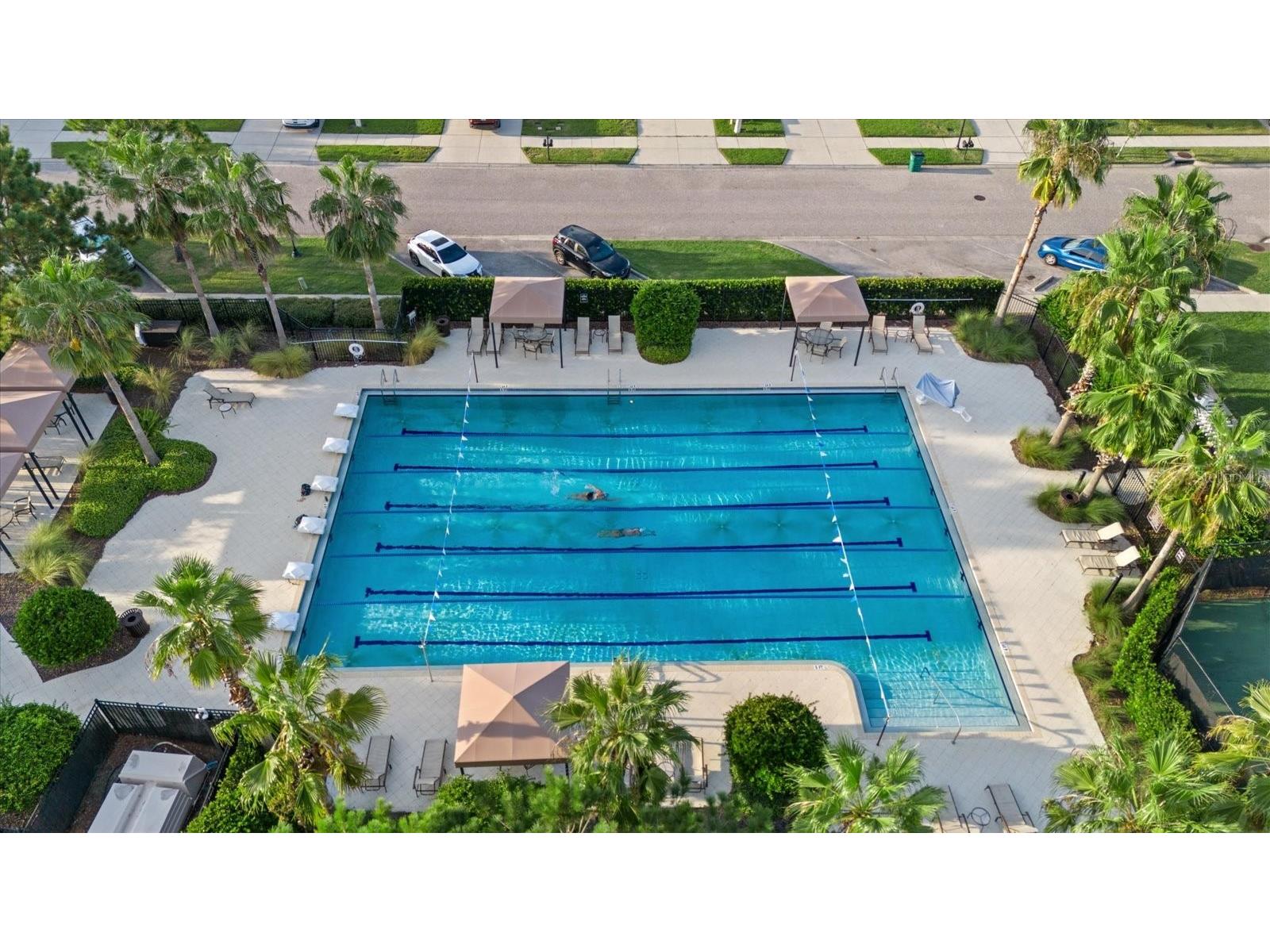7224 Graybrook Drive Wesley Chapel FL 33545 TB8505585 image71