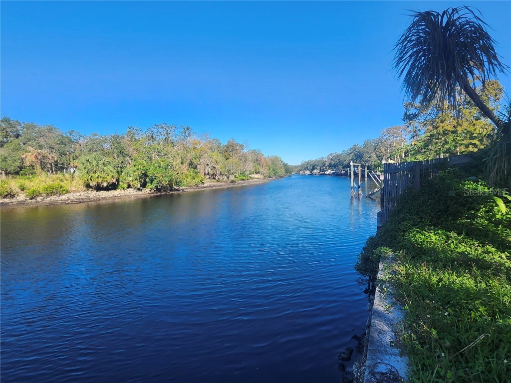 7224 N Ola Avenue Tampa FL 33604 - HILLSBOROUGH RIVER W7872186 image1