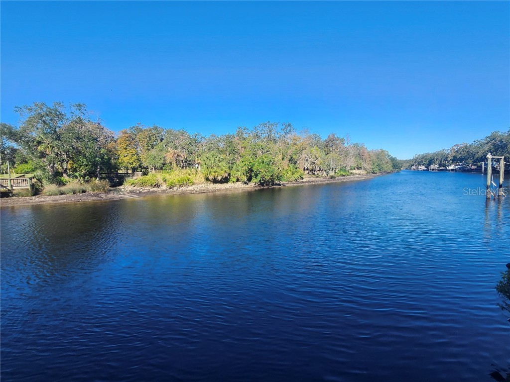 7224 N Ola Avenue Tampa FL 33604 - HILLSBOROUGH RIVER W7872186 image3