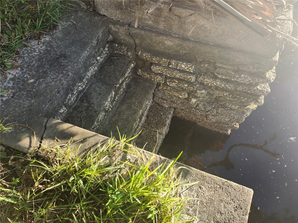 7224 N Ola Avenue Tampa FL 33604 - HILLSBOROUGH RIVER W7872186 image8