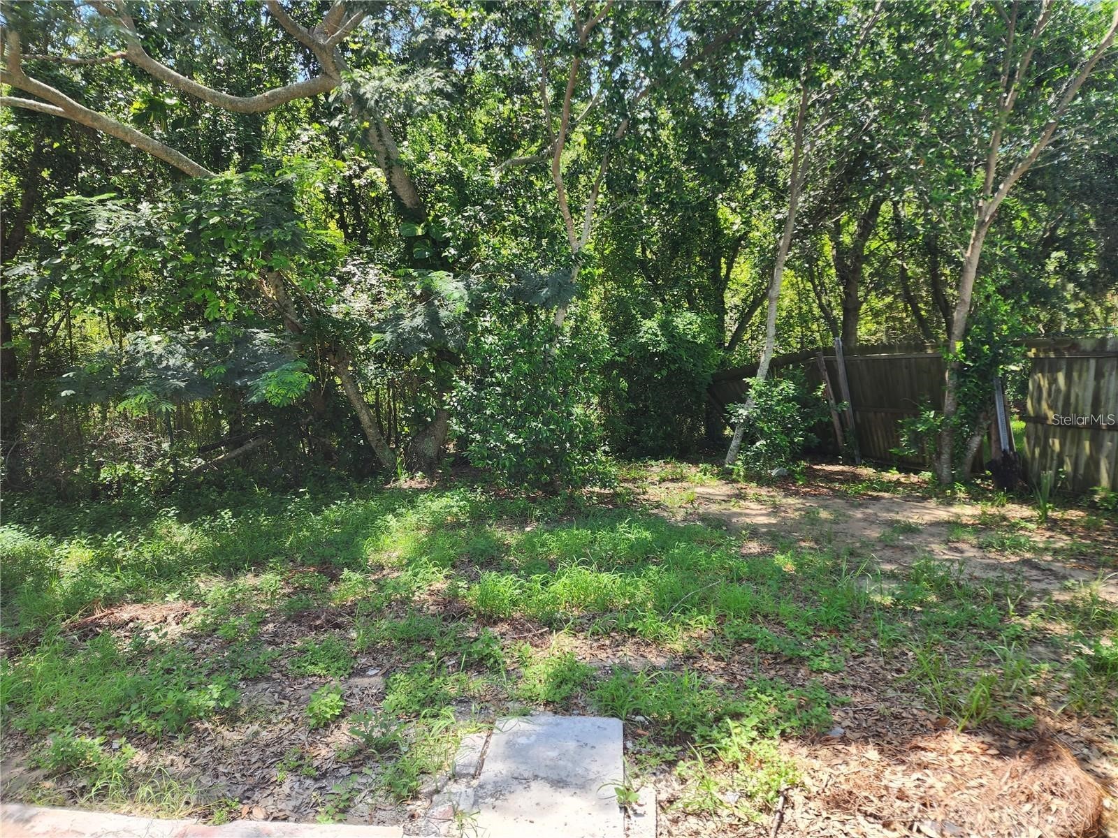 7225 Seashore Drive Port Richey FL 34668 TB8515435 image10