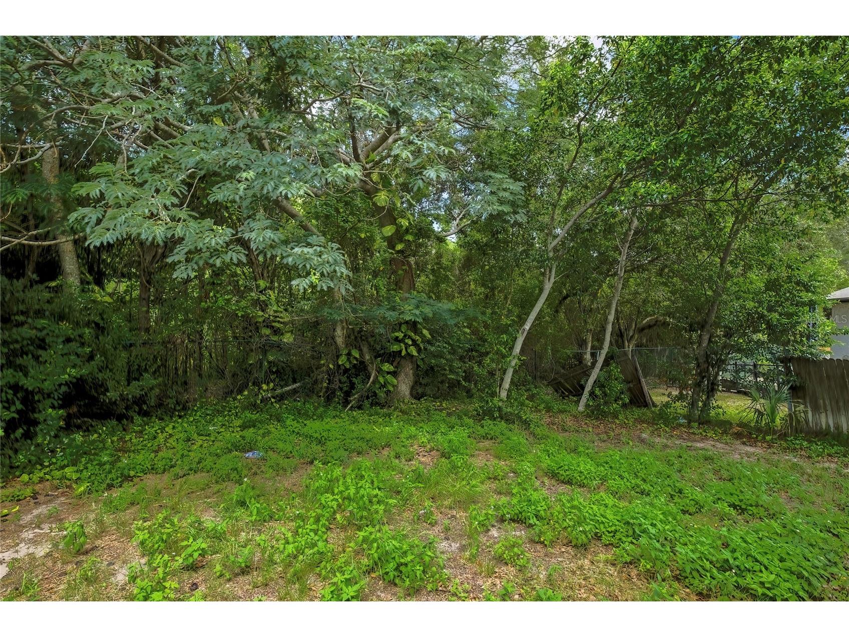 7225 Seashore Drive Port Richey FL 34668 TB8515435 image36