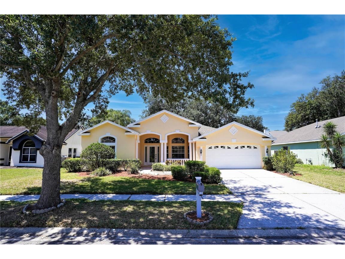 7227 Hammet Road Tampa FL 33647 U8200118 image1