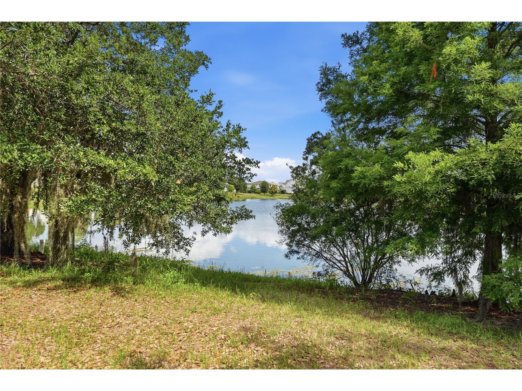 7227 Nemours Parkway Orlando FL 32827 O6412368 image32