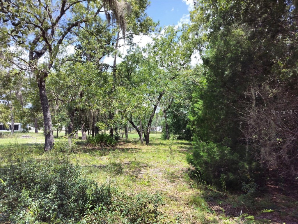 7227 W Jackson Lane Homosassa FL 34448 TB8415072 image1