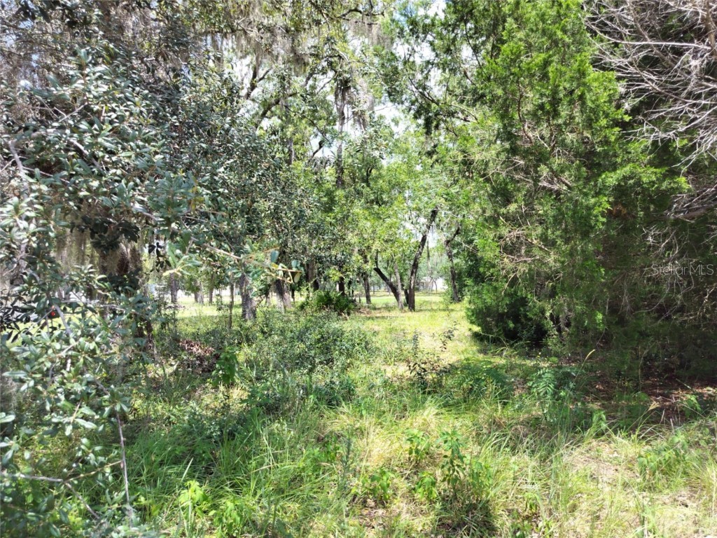 7227 W Jackson Lane Homosassa FL 34448 TB8415072 image10