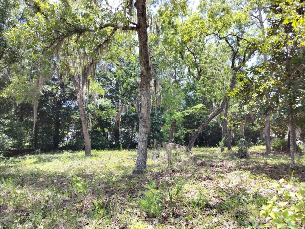 7227 W Jackson Lane Homosassa FL 34448 TB8415072 image11