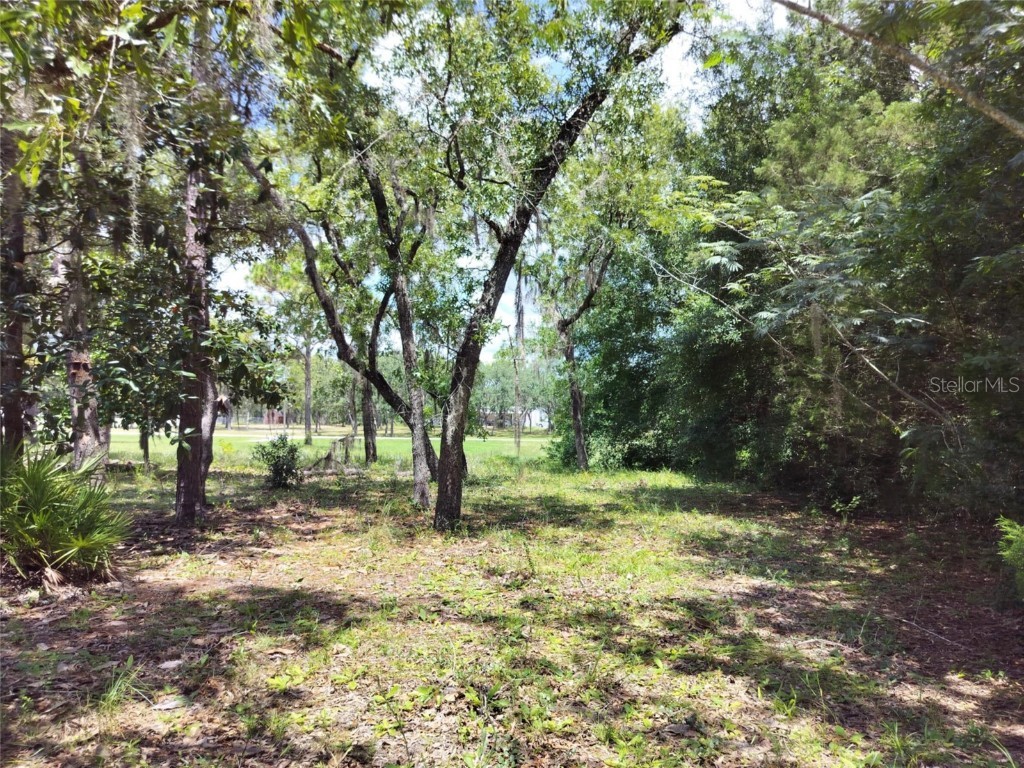 7227 W Jackson Lane Homosassa FL 34448 TB8415072 image12