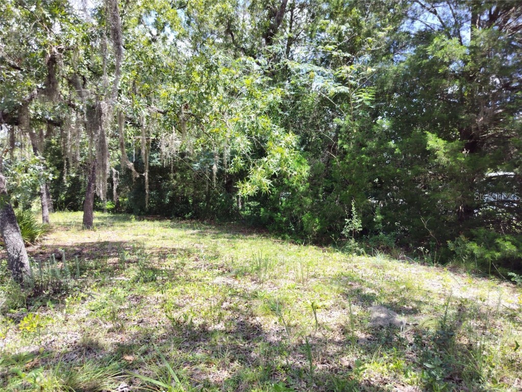 7227 W Jackson Lane Homosassa FL 34448 TB8415072 image13