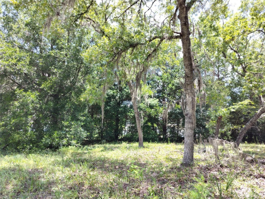 7227 W Jackson Lane Homosassa FL 34448 TB8415072 image14