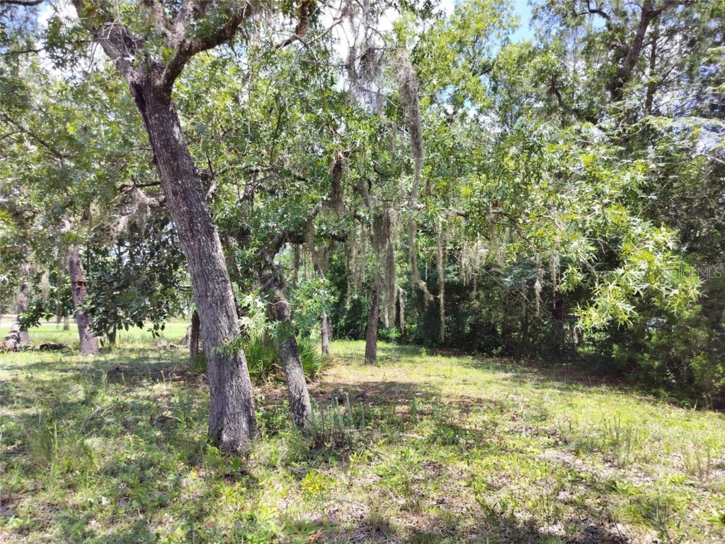 7227 W Jackson Lane Homosassa FL 34448 TB8415072 image15
