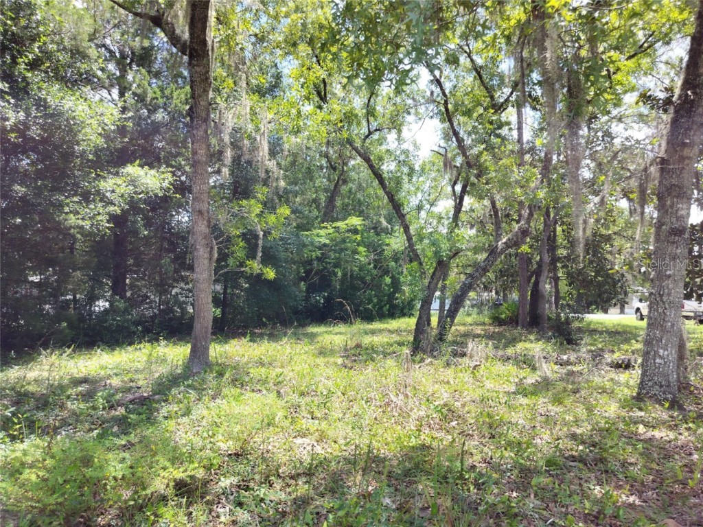 7227 W Jackson Lane Homosassa FL 34448 TB8415072 image16