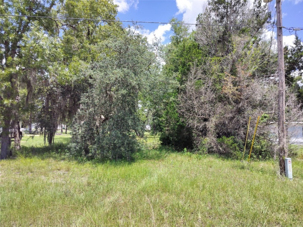 7227 W Jackson Lane Homosassa FL 34448 TB8415072 image17