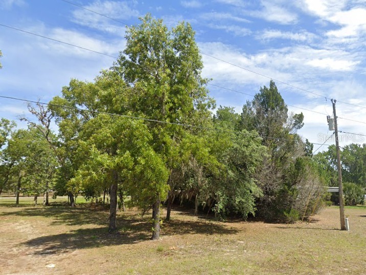 7227 W Jackson Lane Homosassa FL 34448 TB8415072 image5