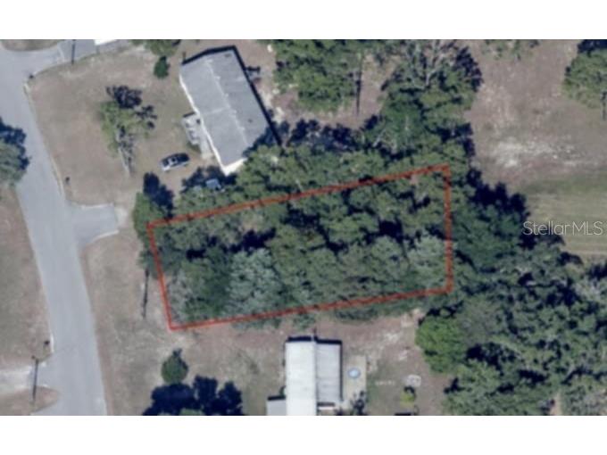 7227 W Jackson Lane Homosassa FL 34448 TB8415072 image6